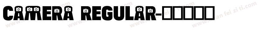 camera regular字体转换